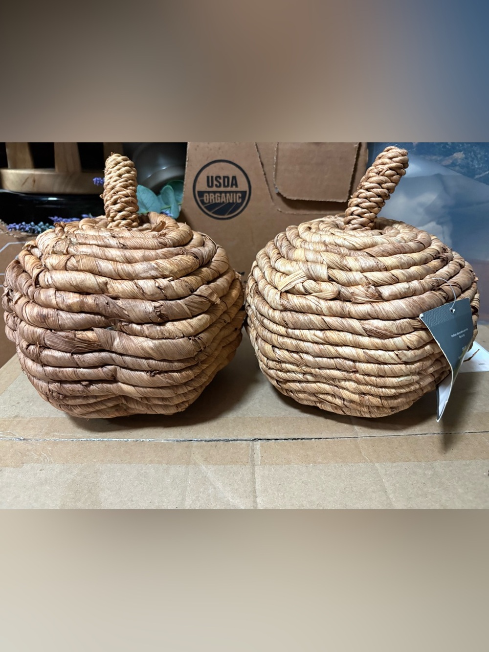 Set of 2 Woven Pumpkin accents from Threshold